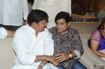 Malupu Movie Audio Launch